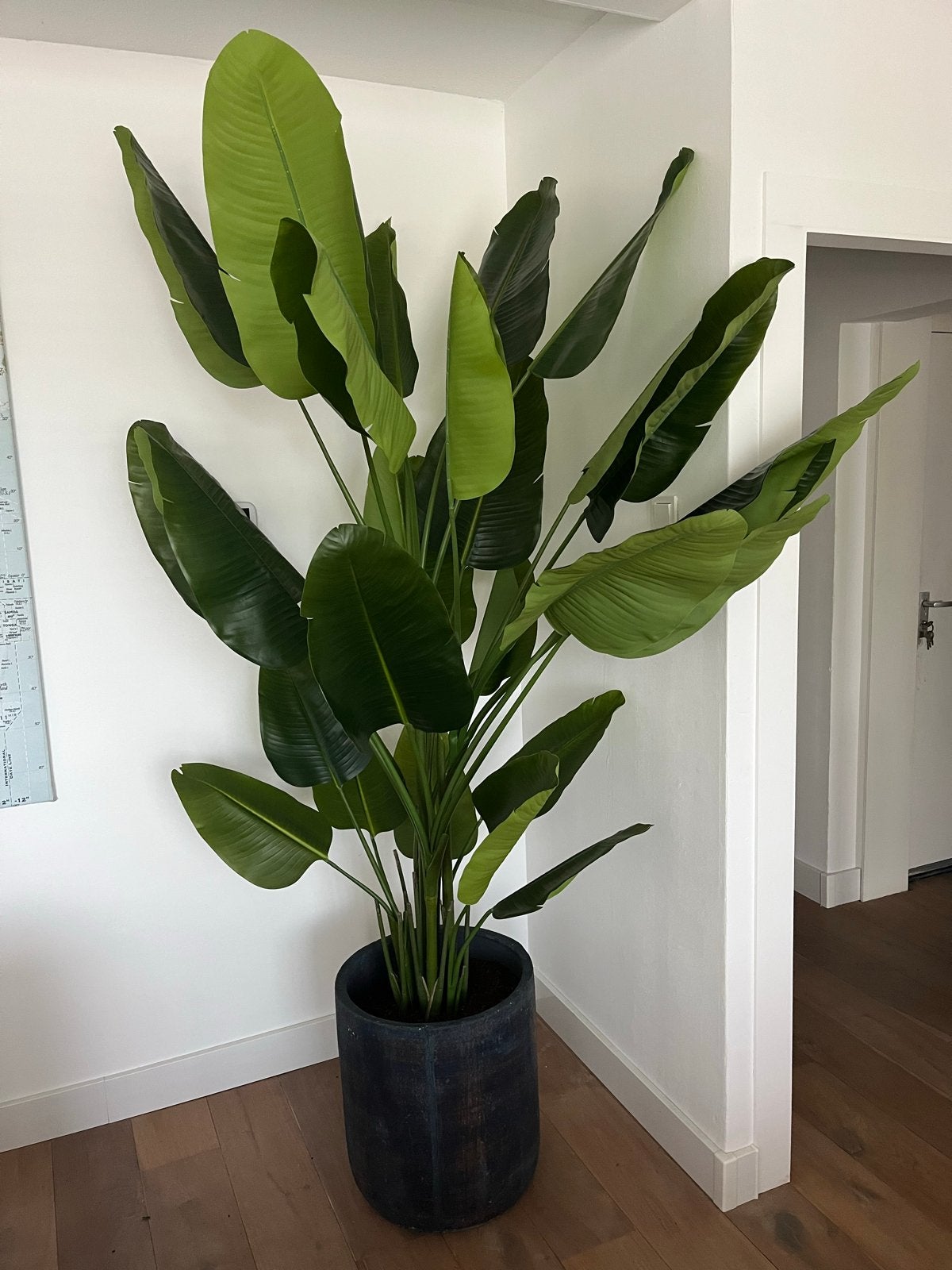 Grote Strelitzia deluxe kunstplant, 210 cm - geseald (NIEUW), Huis en Inrichting, Binnen, Groen, Kunstplant, Nieuw