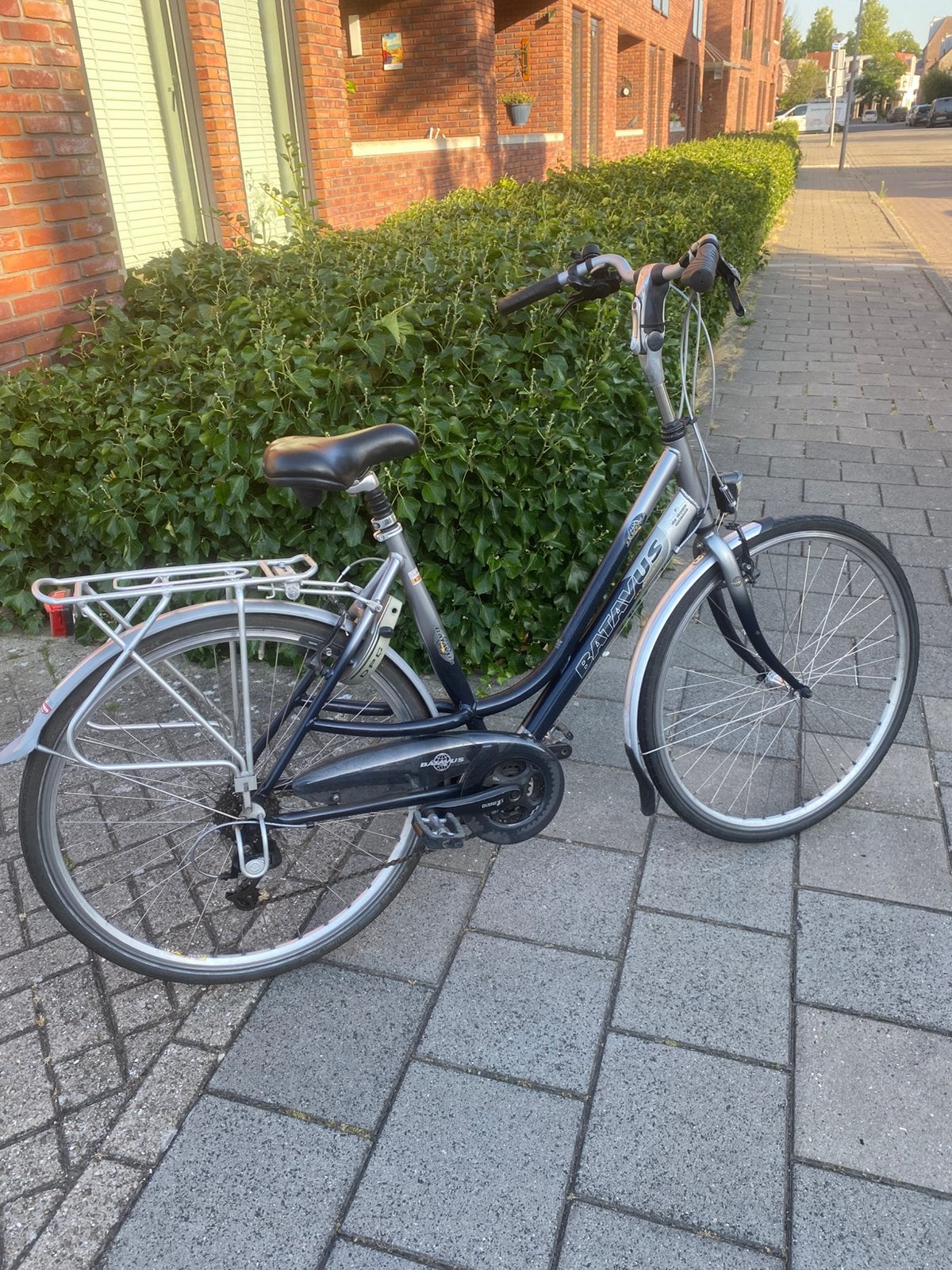 Batavus met 24 versnellingen, Fietsen en Brommers, Fietsen | Dames | Damesfietsen, Versnellingen, Batavus, Ophalen of Verzenden