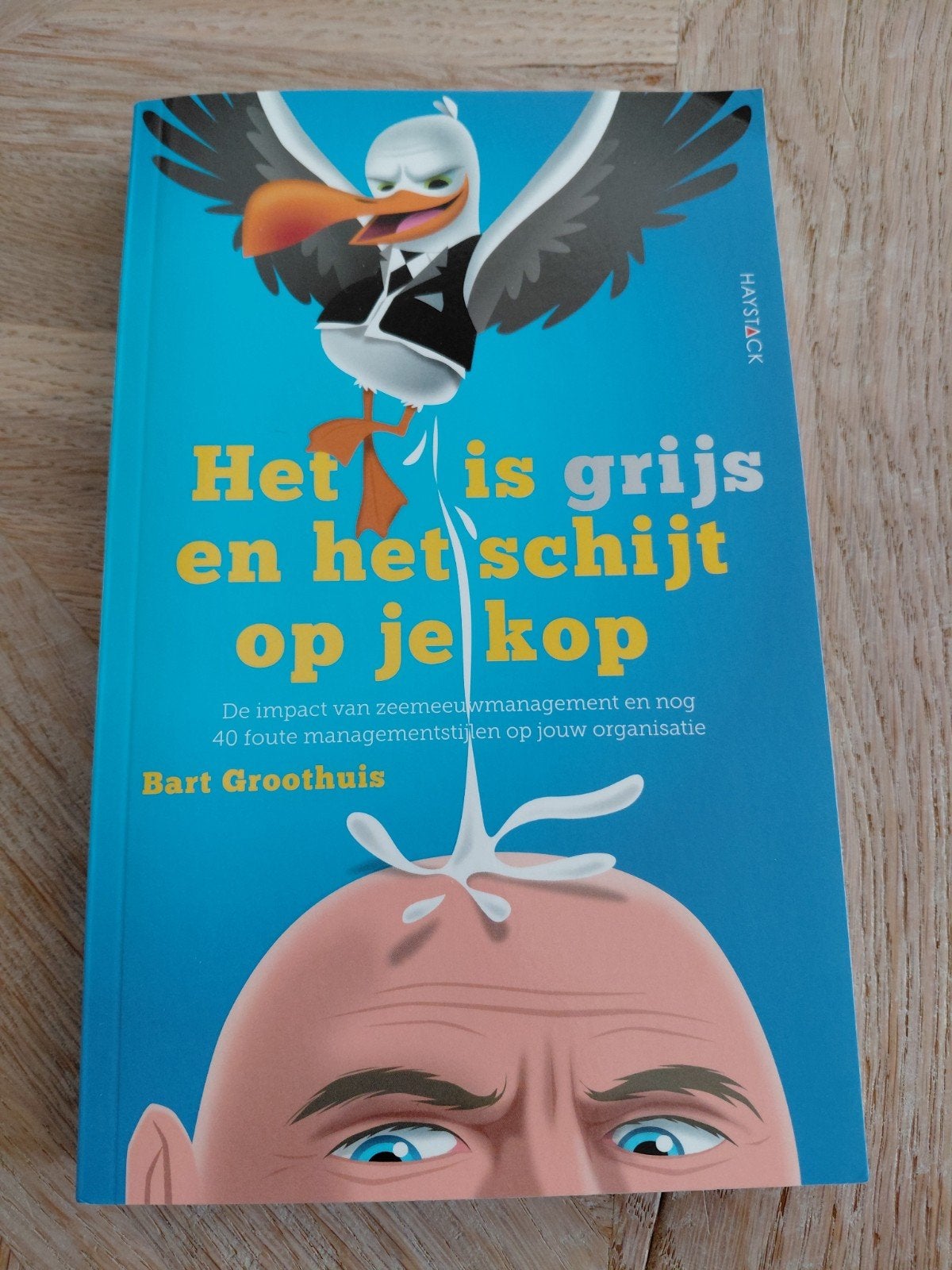 Het is grijs en het schijt op je kop - Bart Groothuis, Ophalen of Verzenden, Zo goed als nieuw, Management, Bart Groothuis