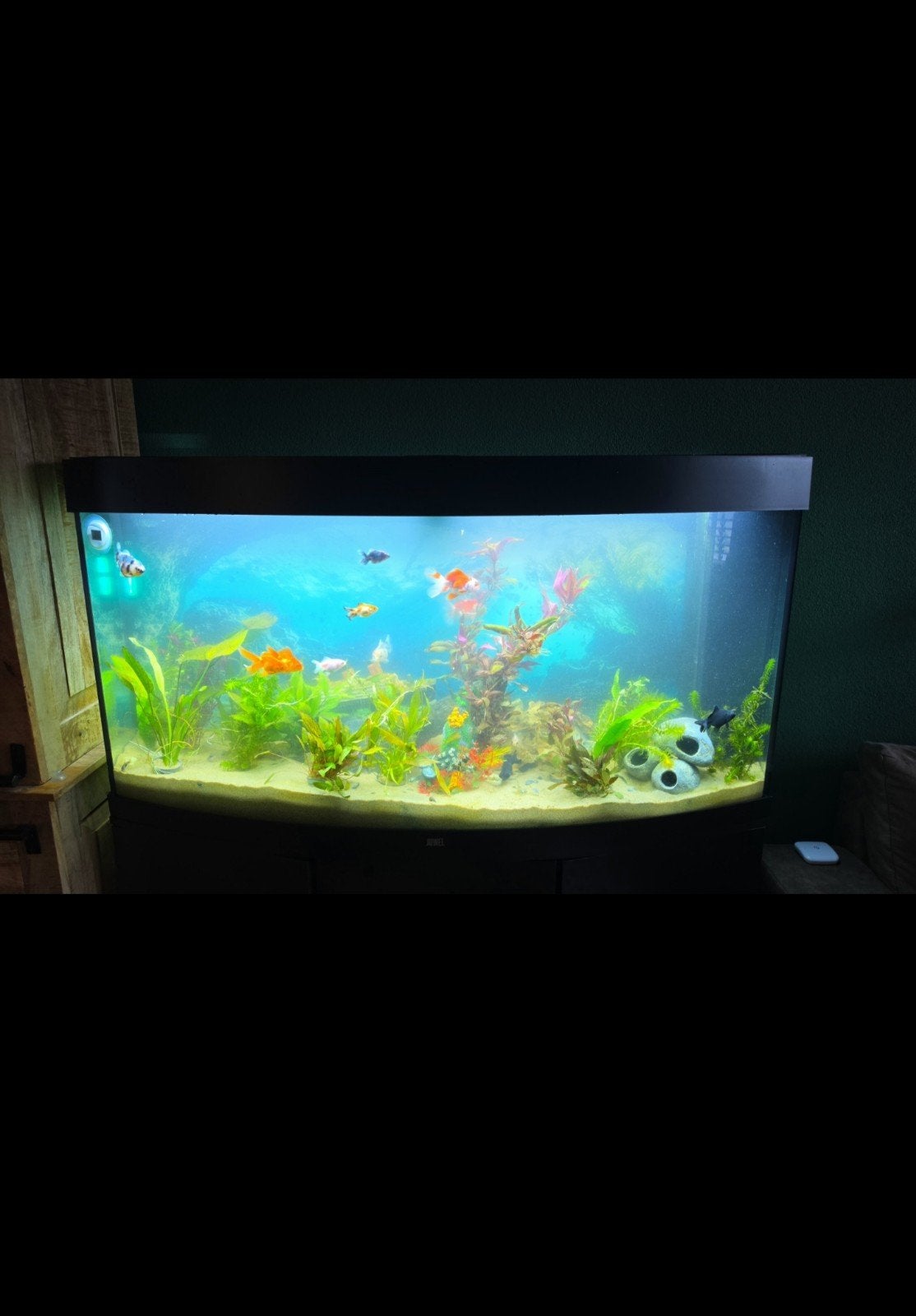 grote Aquarium Juwel 260 led, Ophalen, Zo goed als nieuw, Leeg aquarium