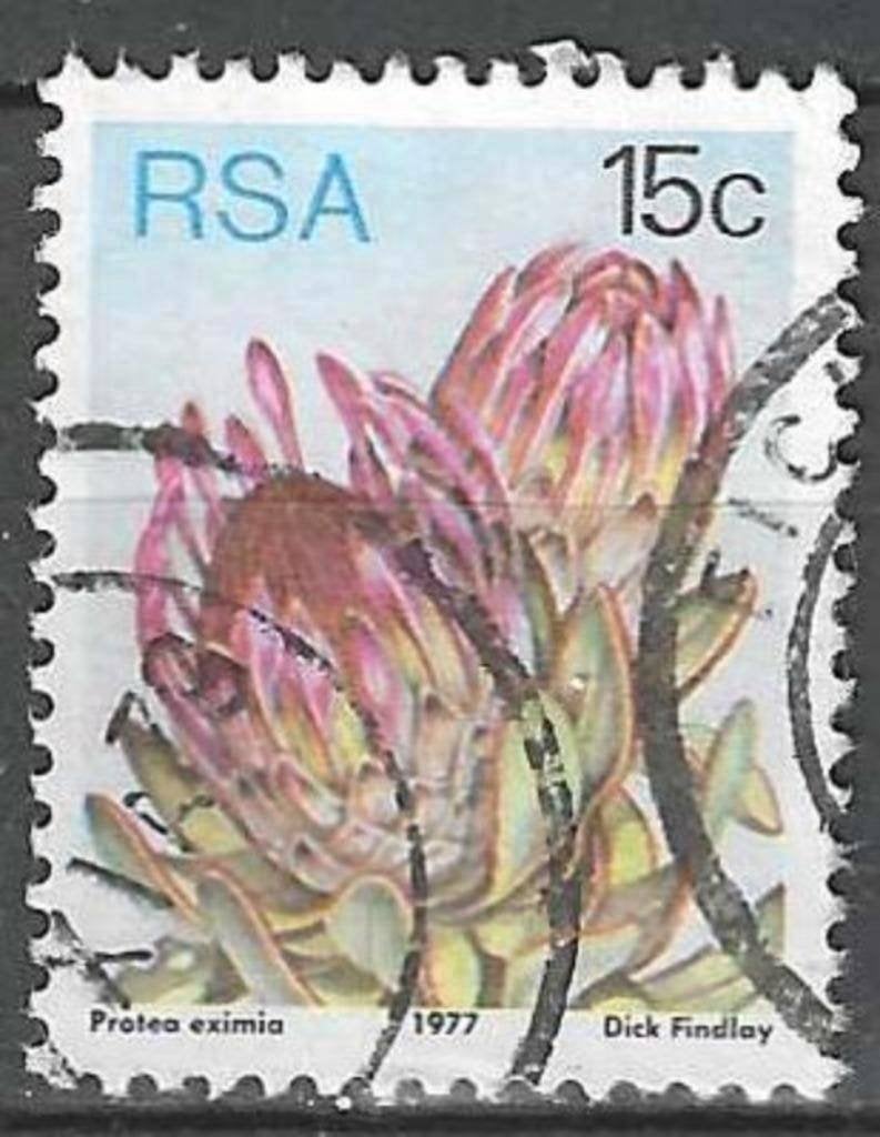 Zuid-Afrika 1977 - Yvert 426 - Breedbladige suikerstruik(ST), Verzenden, Zuid-Afrika, Gestempeld