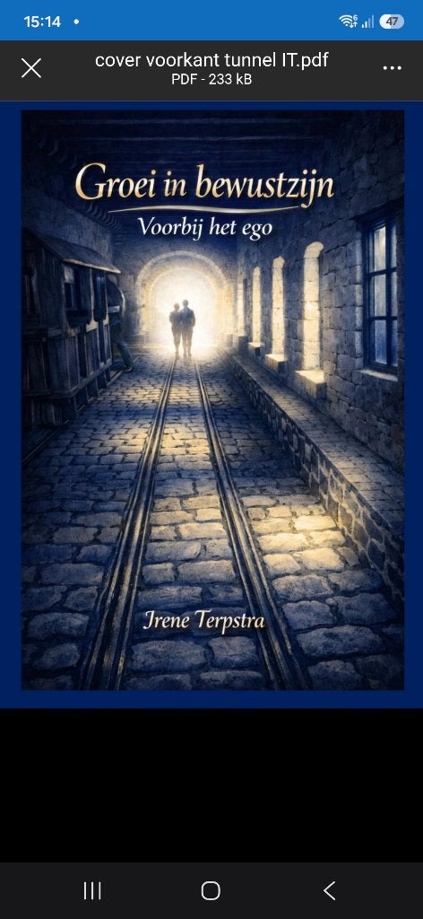 Groei in bewustzijn Voorbij het ego, Ophalen of Verzenden, Zo goed als nieuw, Economie en Marketing, Irene Terpstra