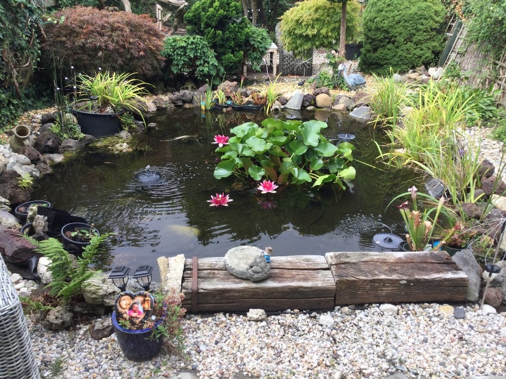 Vijver, Tuin en Terras, Vijver-toebehoren, Zo goed als nieuw, Vijverpomp, Ophalen of Verzenden