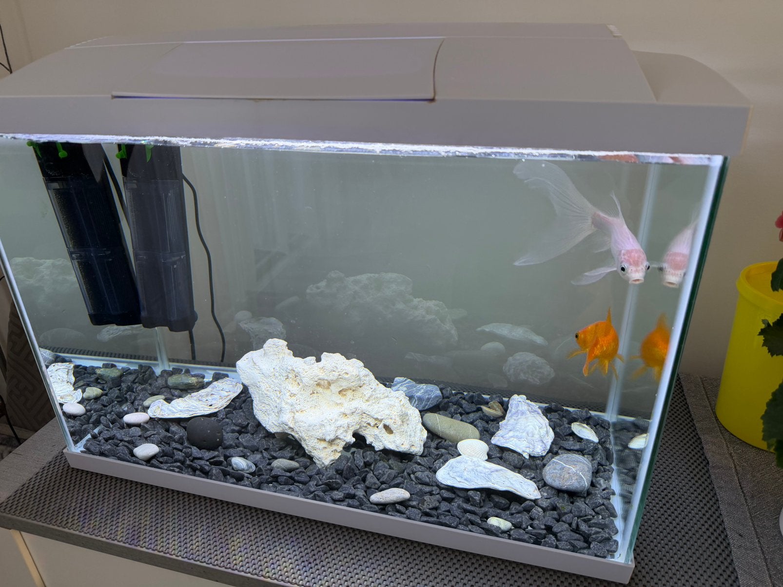 Aquarium met verlichting, Ophalen, Zo goed als nieuw, Gevuld zoetwateraquarium