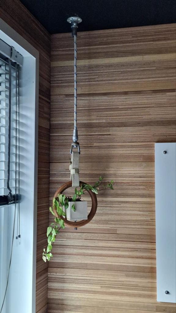 Unieke handgemaakte (gymnastiek) ringen set voor hangplanten, Ophalen, Hout, Nieuw, Modern