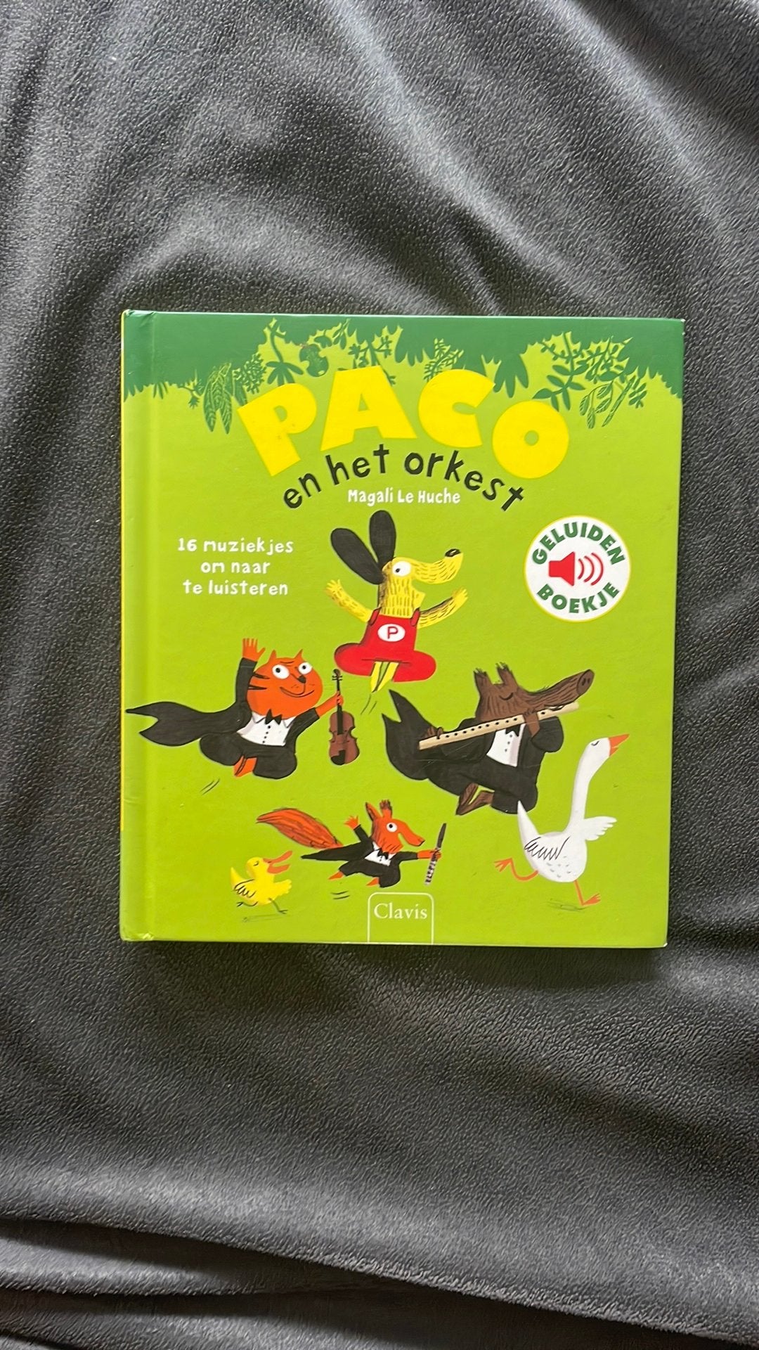 Magali Le Huche - Paco en het orkest, Verzenden, Zo goed als nieuw, Magali Le Huche