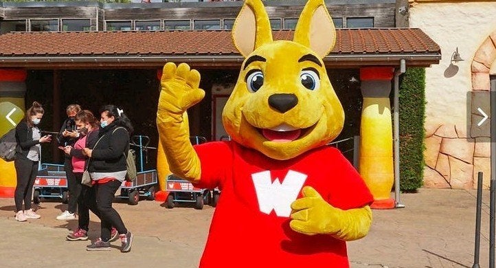 2 kaartjes voor walibi belgium, Twee personen, Ticket of Toegangskaart