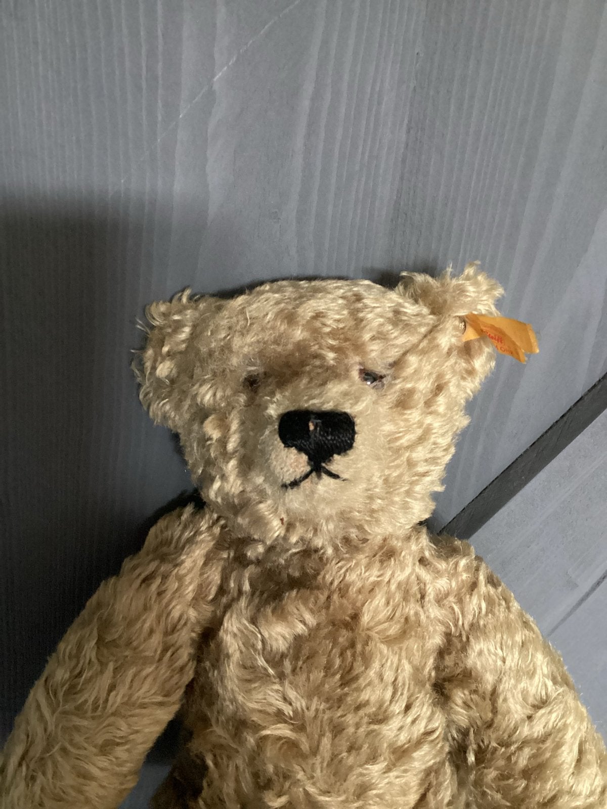 Steiff Teddybeer - Zo goed als nieuw, Beer, Ophalen of Verzenden, Bruin, Met label