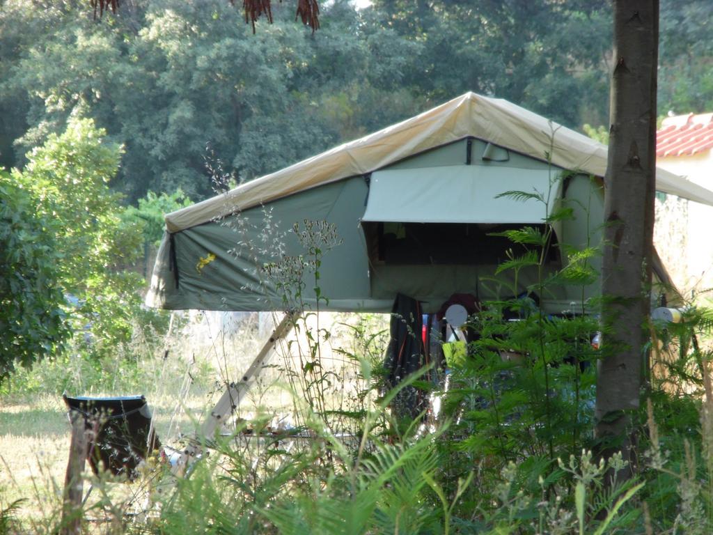 Mini camper met daktent en complete keuken, Caravans en Kamperen, Particulier, Tot en met 3