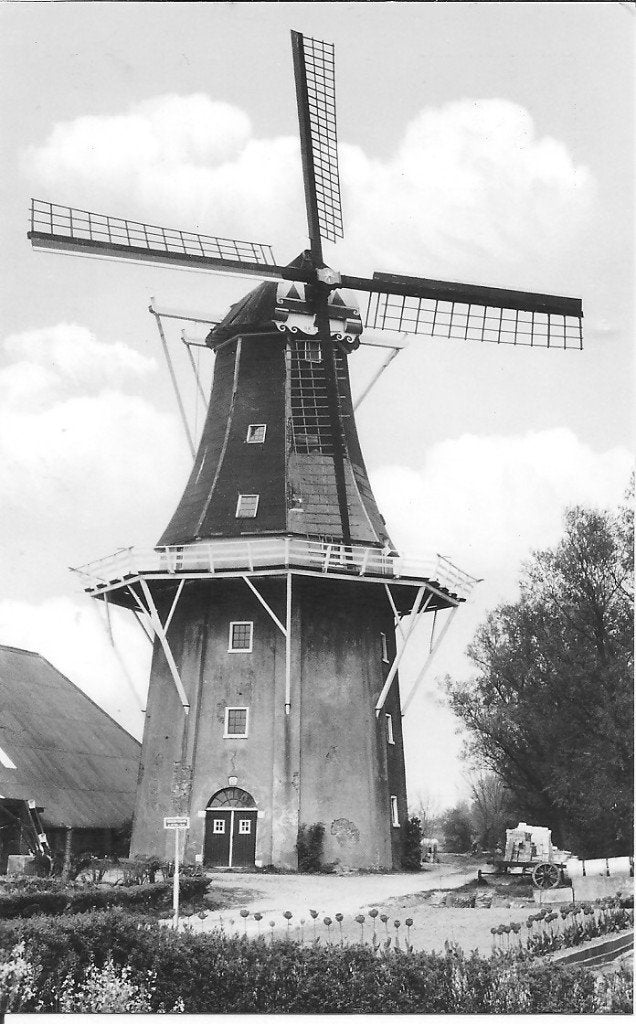 Ansichtkaart Korenmolen Eenrum, Groningen (1974), Verzamelen, Ophalen of Verzenden, 1960 tot 1980, Gelopen, Groningen