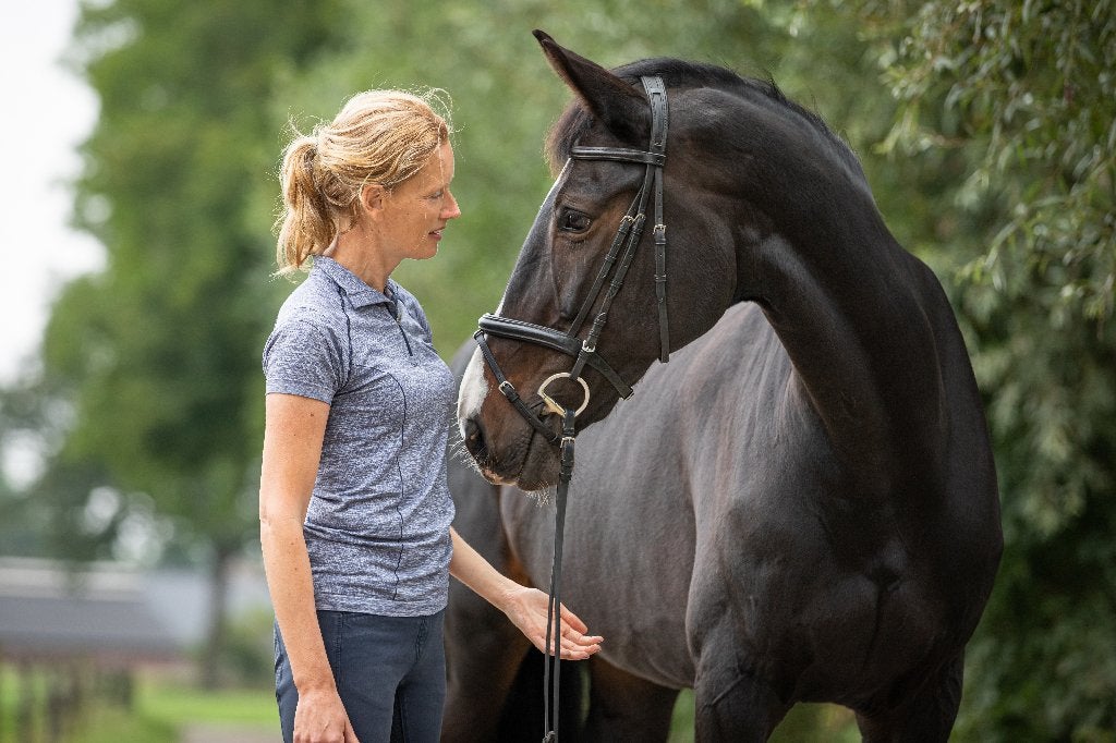 Gezocht: fijne pensionstal met weidegang, Stalling, 1 paard of pony