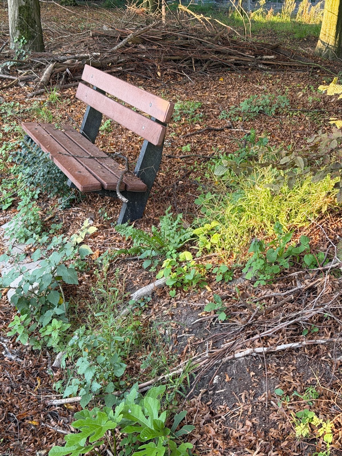 Robuuste tuinbank - Ideaal voor buiten, Ophalen, Gebruikt, Overige materialen