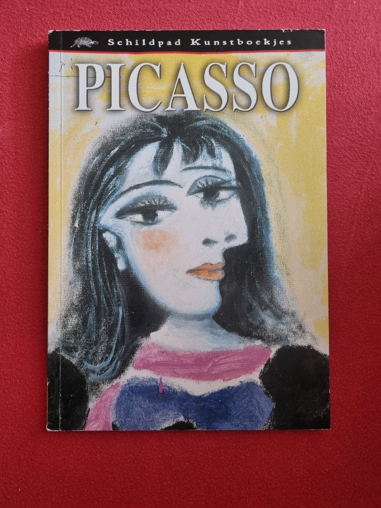 picasso, Ophalen of Verzenden, Zo goed als nieuw, Schilder- en Tekenkunst