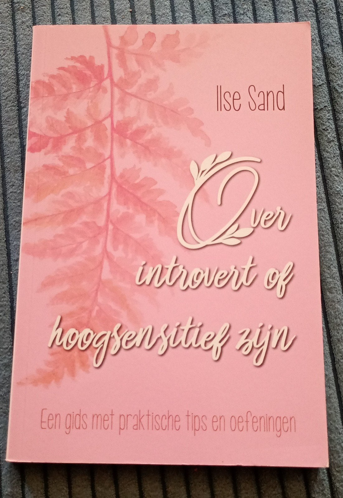 Ilse Sand - Over introvert of hoogsensitief zijn, Ophalen of Verzenden, Zo goed als nieuw, Ilse Sand