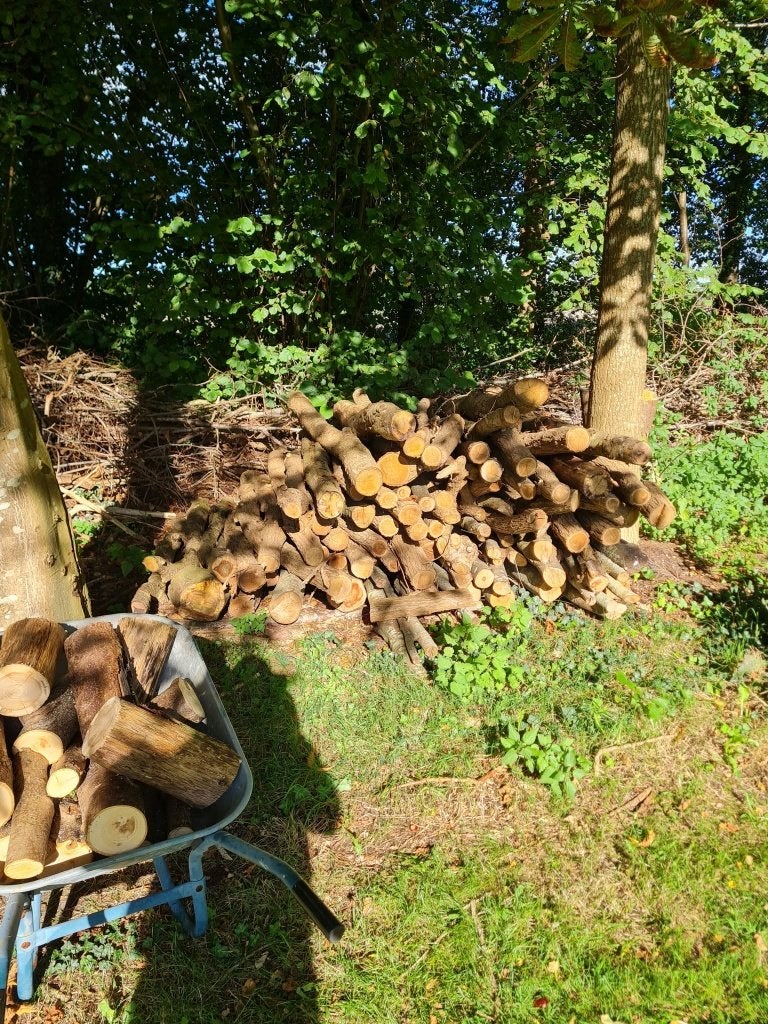 Brandhout, Minder dan 3 m³, Ophalen, Overige houtsoorten, Takken
