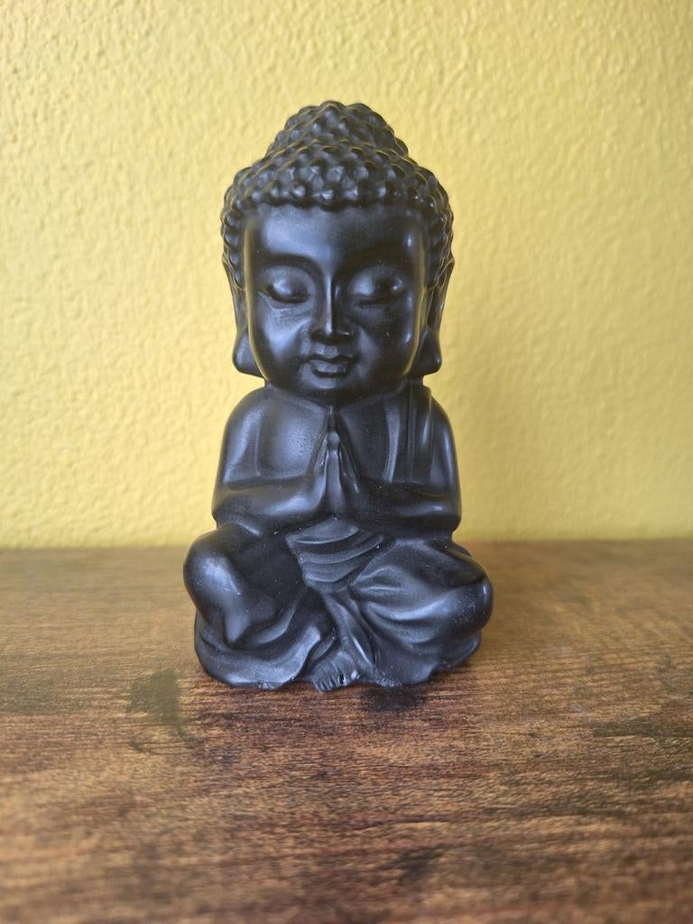 Buddha obsidiaan, Verzamelen, Mineralen en Fossielen, Verzenden