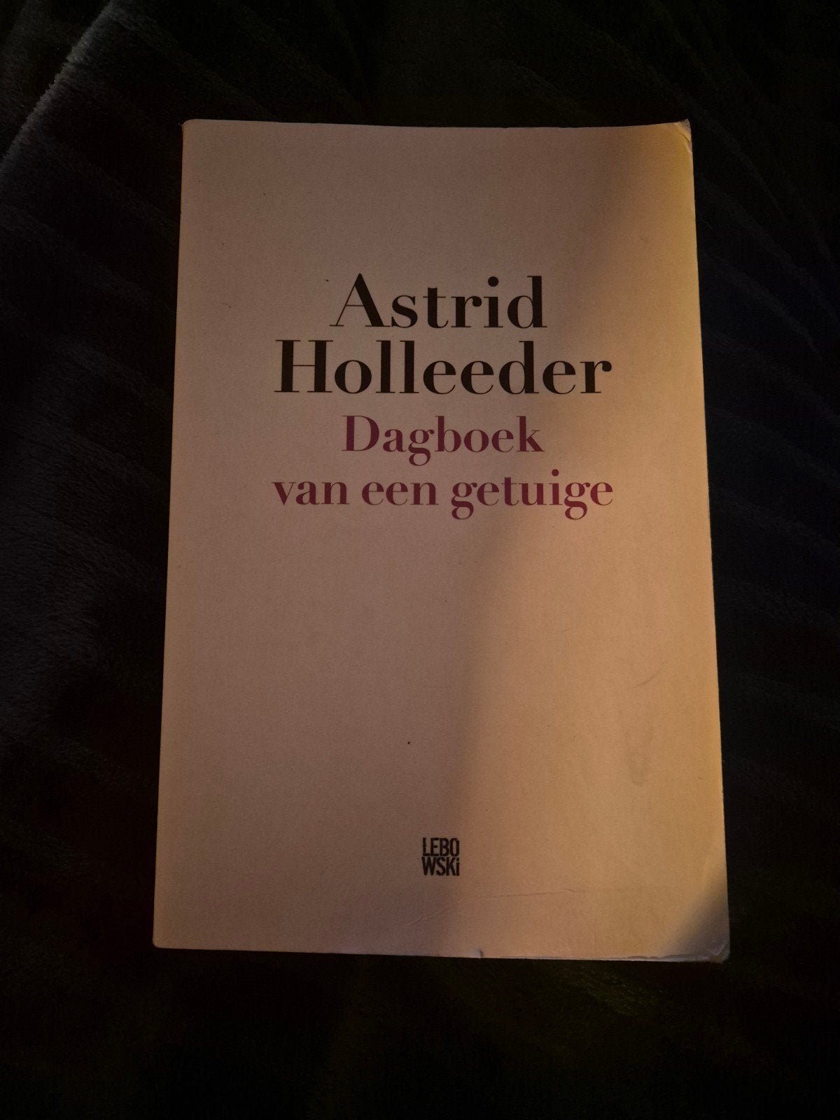 Astrid Holleeder - Dagboek van een getuige, Ophalen of Verzenden, Zo goed als nieuw, Astrid Holleeder