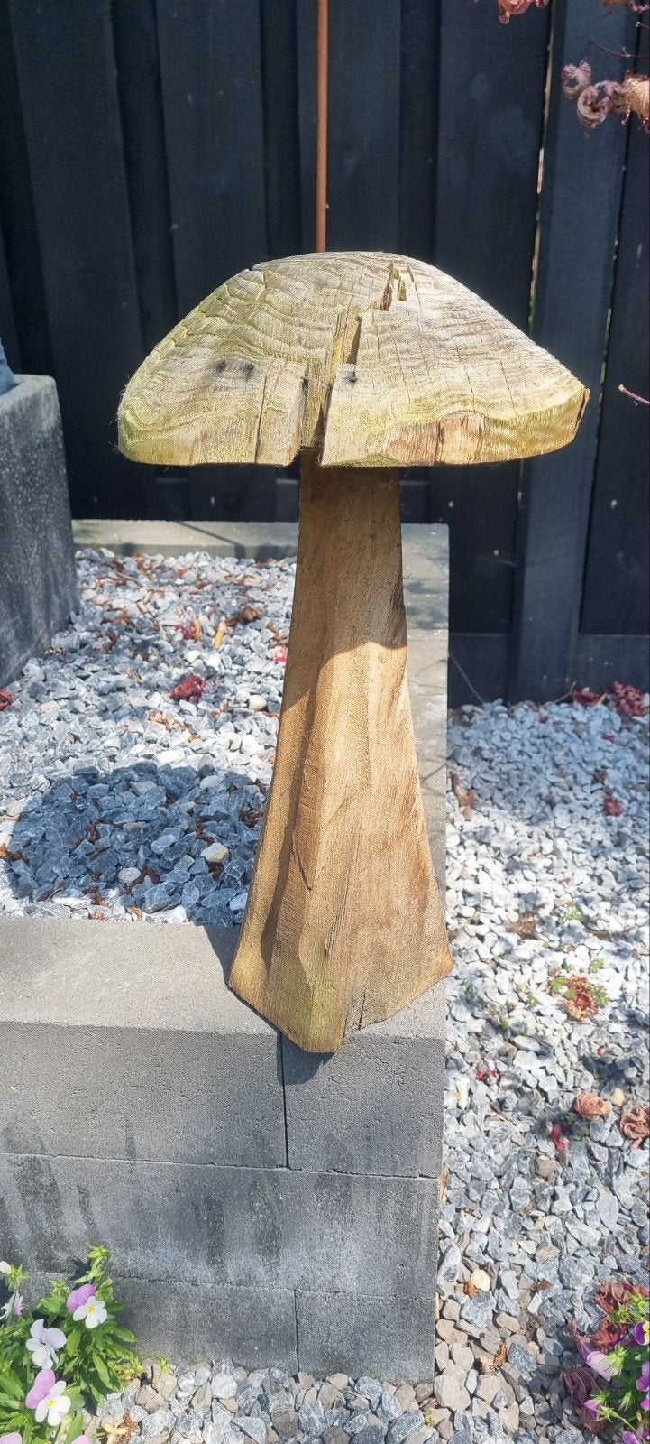 houten paddestoel, Ophalen
