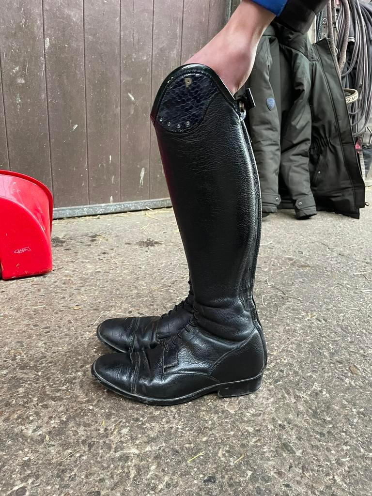 Luca Petrie laarzen, Dieren en Toebehoren, Ophalen of Verzenden, Zo goed als nieuw, Dressuur, Schoeisel