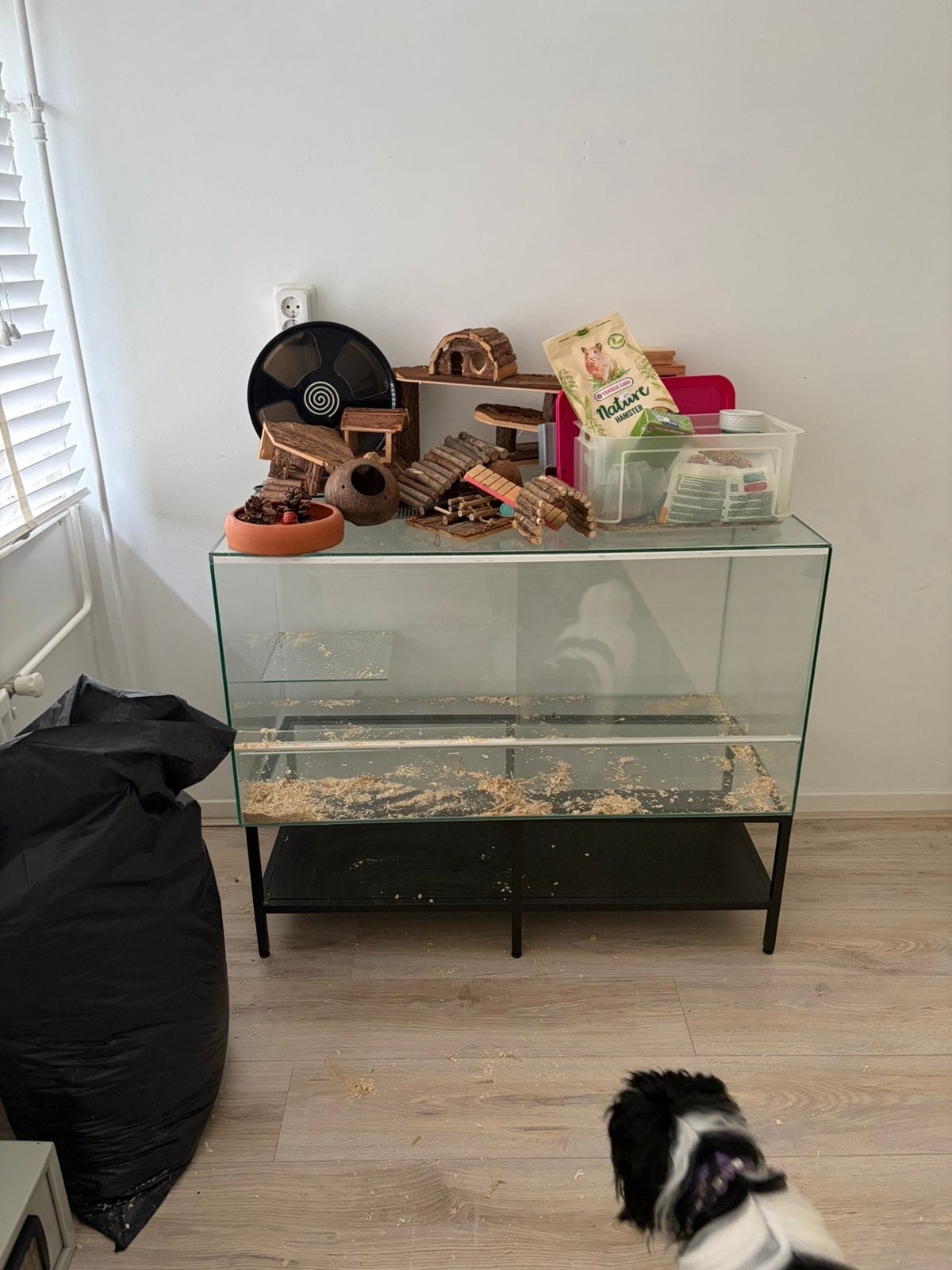 Glazen hamsterkooi compleet, Kooi, Gebruikt, Muis, 75 tot 110 cm