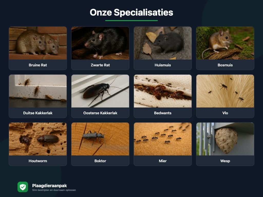 vlooien klemmen kooi vangkooi gif preventie ongedierte vraat, Ophalen of Verzenden, Nieuw, Overige, Overige merken
