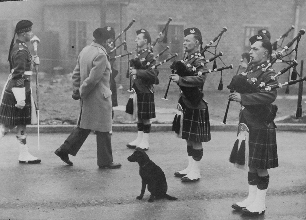 Historische foto: Veldmaarschalk Montgomery, Verzamelen, Gebruikt, Foto, Ophalen of Verzenden, 1940 tot 1960
