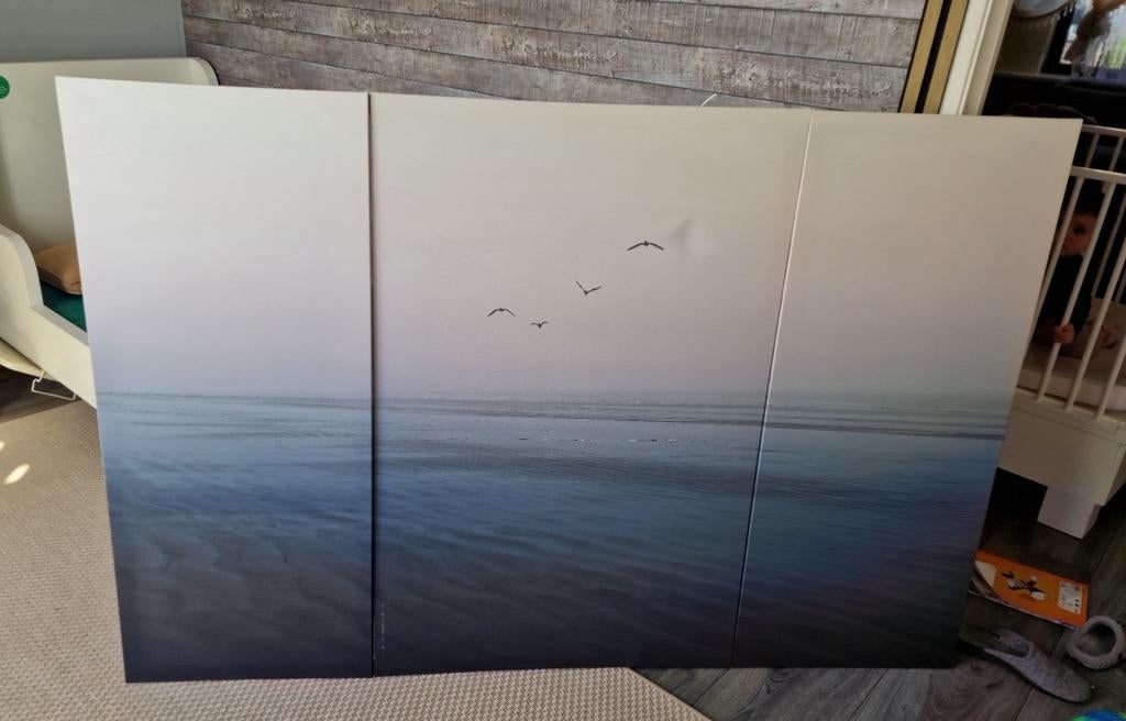 Groot Tableau: Zeegezicht met vogels, 125 cm of meer, Ophalen of Verzenden, 75 cm of meer, Print
