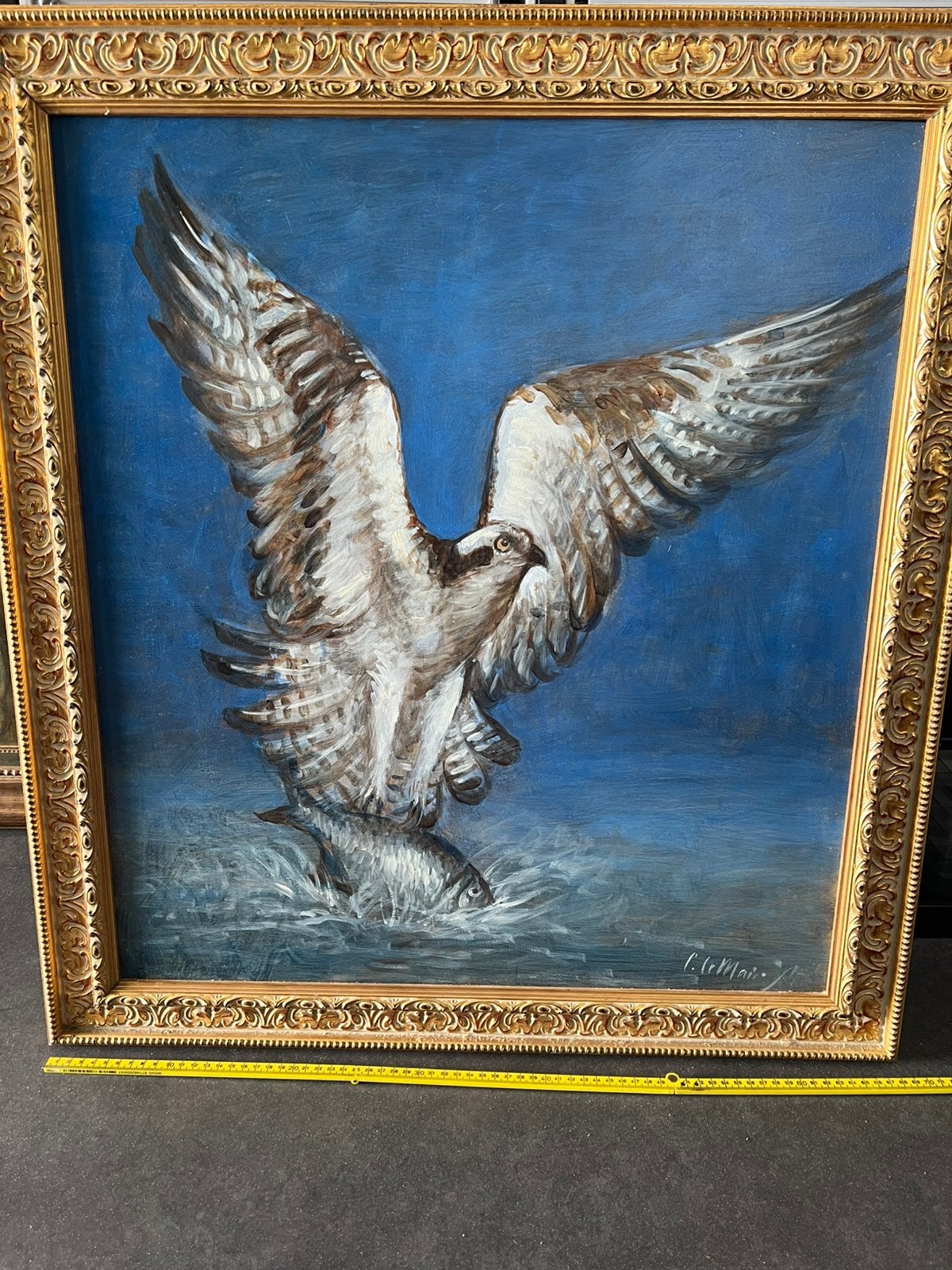 Cornelis le Mair . Visarend op paneel . Olieverf ., Antiek en Kunst, Ophalen, Paneel, Realistisch, Dieren
