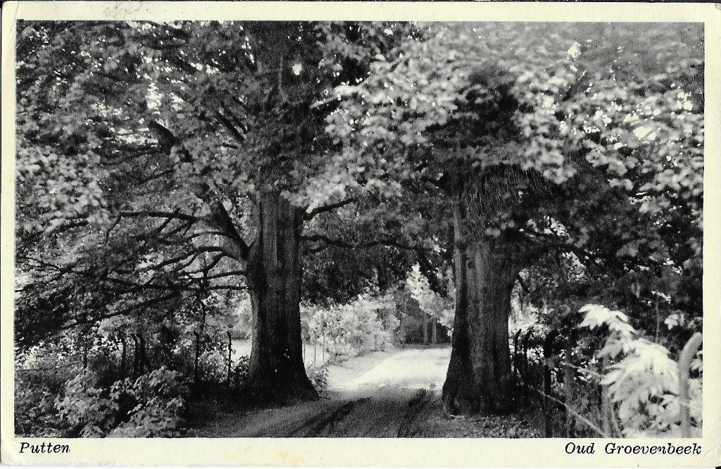 Putten, Oud Groevenbeek, bos, bospad, bomen, Verzenden, 1940 tot 1960, Gelopen, Gelderland