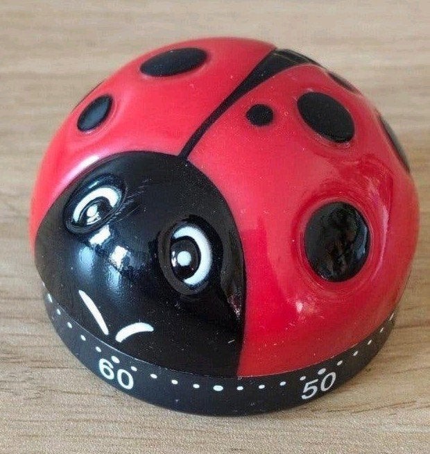 Lieveheersbeestje kookwekker - Keuken timer, Overige typen, Kunststof, Nieuw, Ophalen of Verzenden