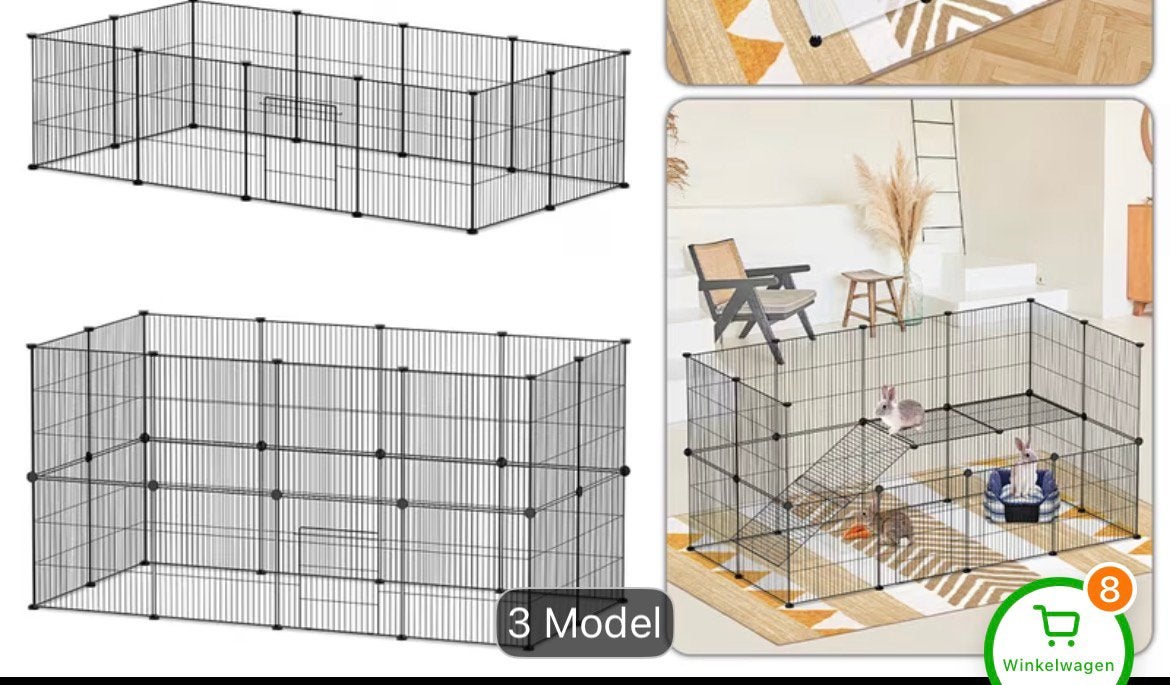 alle cavia toebehoren te koop, Cavia, Juli, Vrouwelijk, Tam