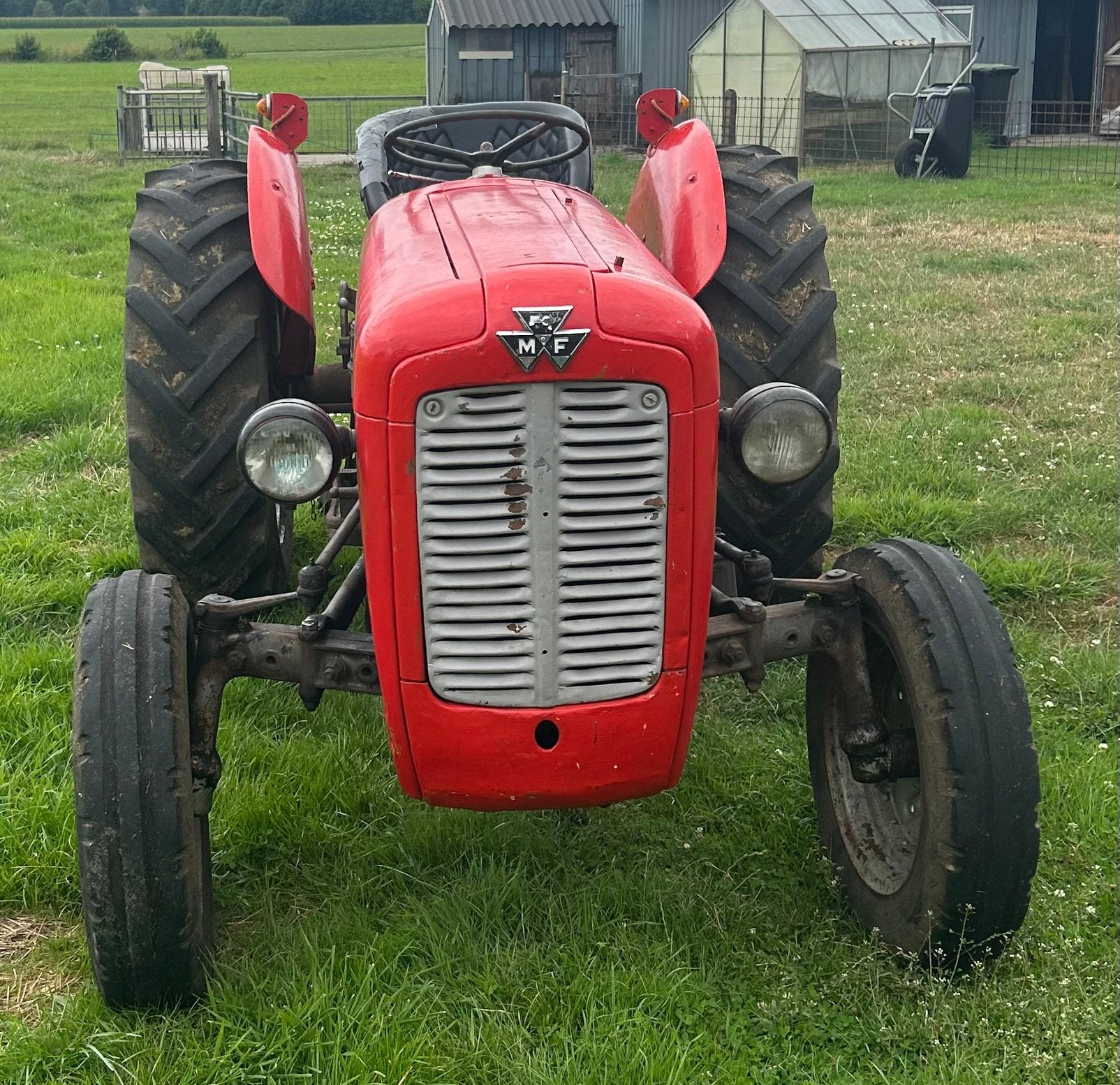 MF 35 (4 cilinder), Ophalen, Oldtimer, Tot 80 Pk, Massey Ferguson