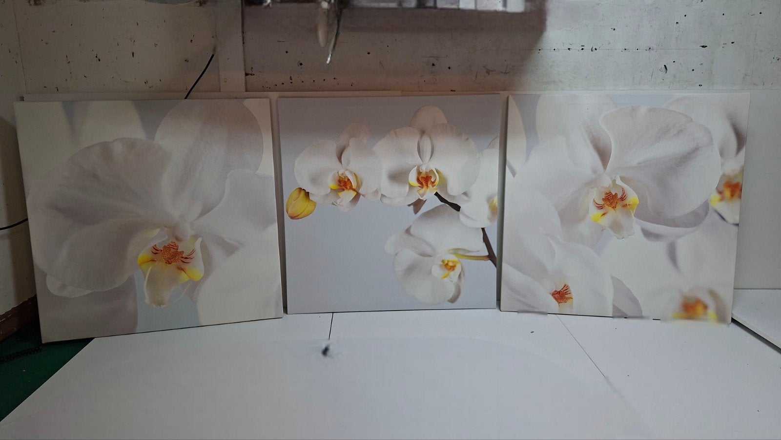 Mooi drieluik van orchideeën - 3 schilderijen van 56x56 cm, Ophalen, 50 – 75, Gebruikt, Schilderij