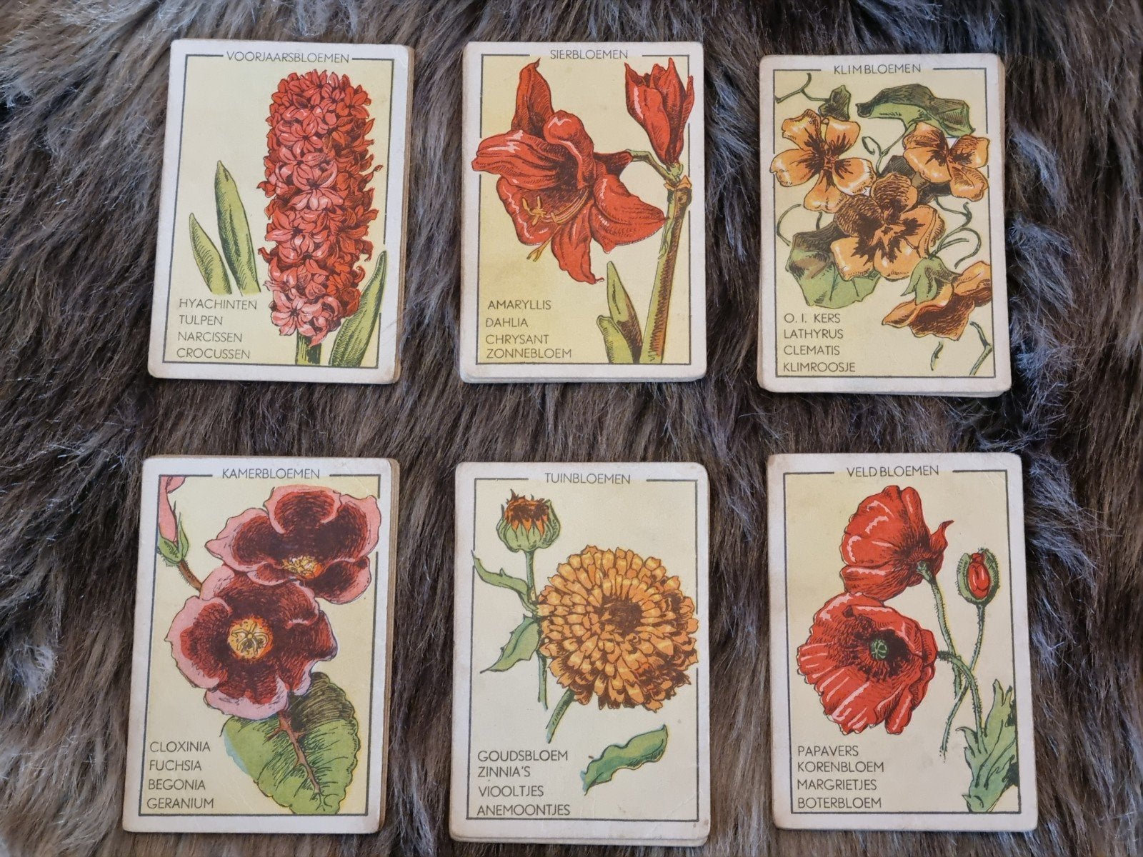 Vintage Kwartetspel 'Bloemen' - Compleet en in goede staat, Verzamelen, Ophalen of Verzenden, Gebruikt, Kwartet(ten)