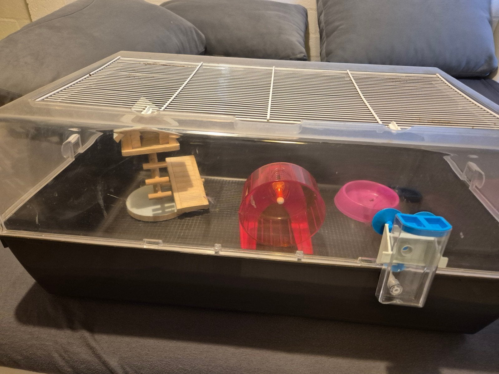 Hamsterkooi, Dieren en Toebehoren, Knaagdieren en Konijnen | Hokken en Kooien, Minder dan 60 cm, Kooi, Gebruikt, Minder dan 75 cm