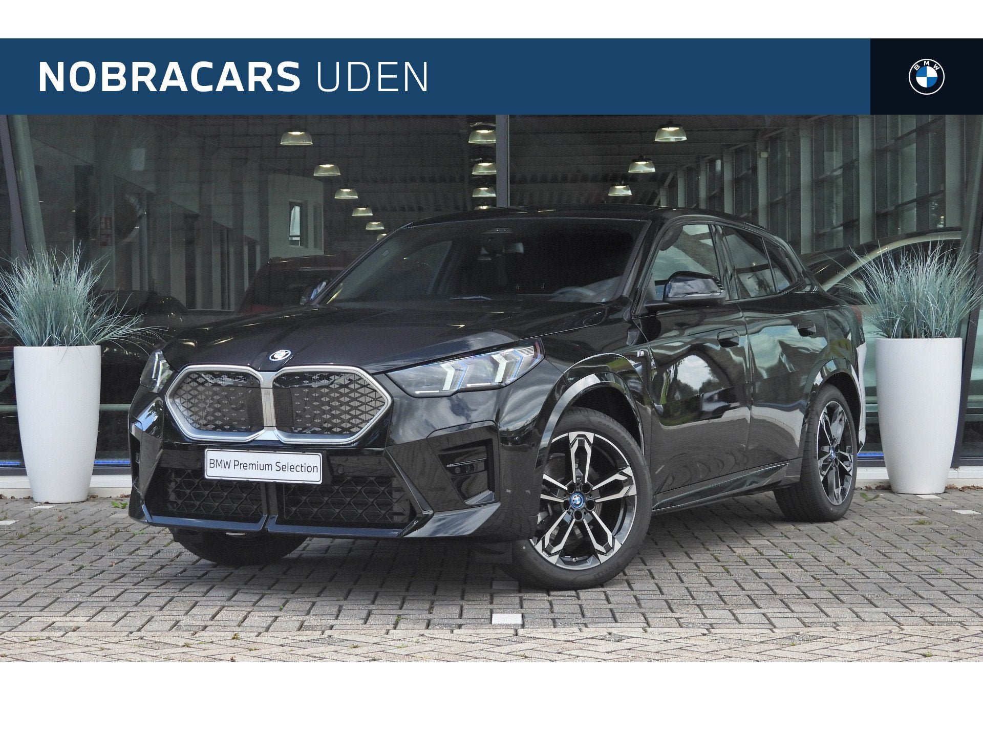 BMW iX2 xDrive30 M Sport / Comfort Access / Sportstoelen / S