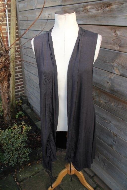 Vest grijs Ophilia mt 2 (44) Vaste prijs, Kleding | Dames, Maat 42/44 (L), Ophalen of Verzenden, Zo goed als nieuw, Ophilia
