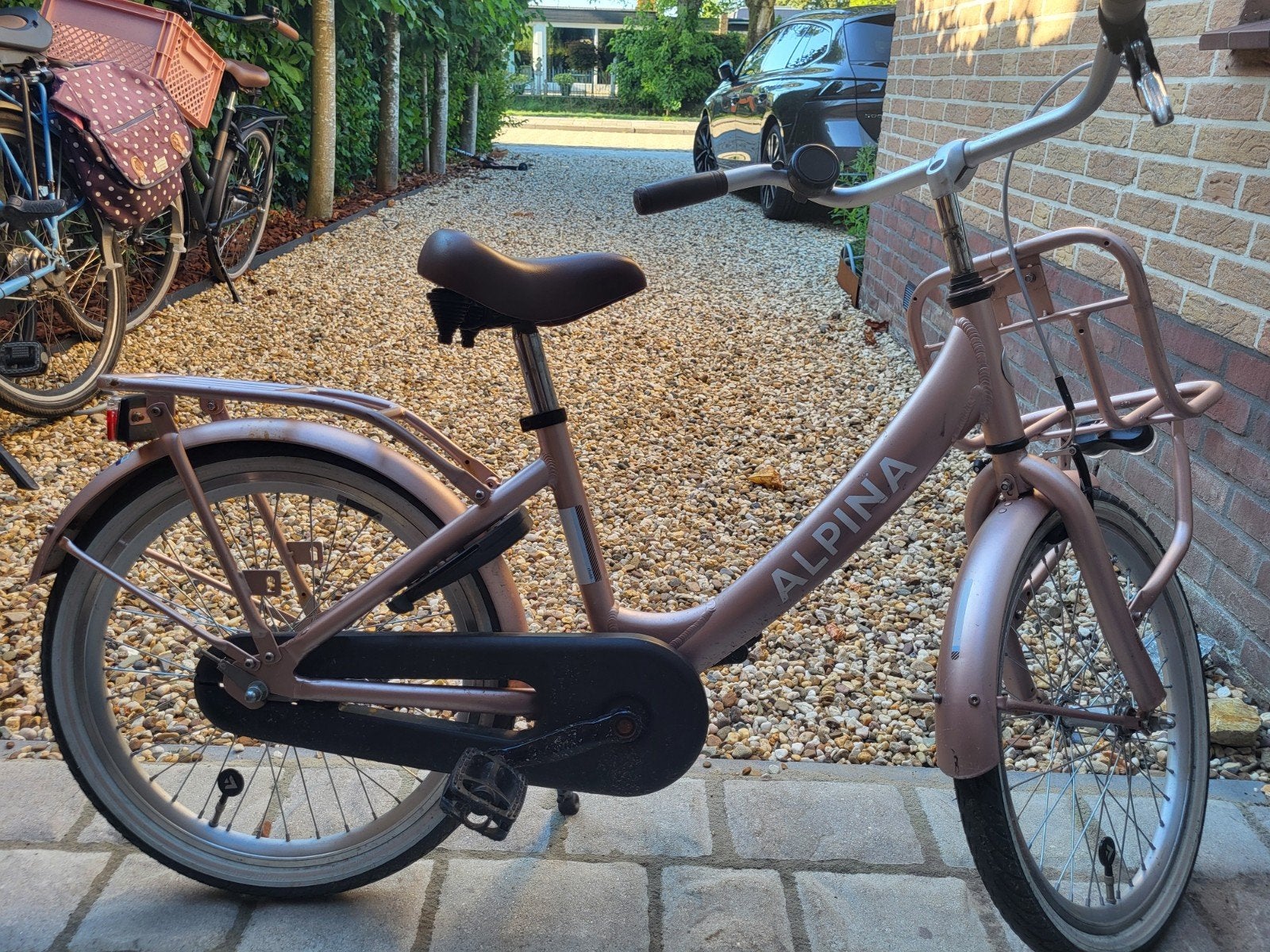 Alpina Club 20 inch meisjesfiets rosé, Ophalen, Terugtraprem, Alpina Clubb, Gebruikt
