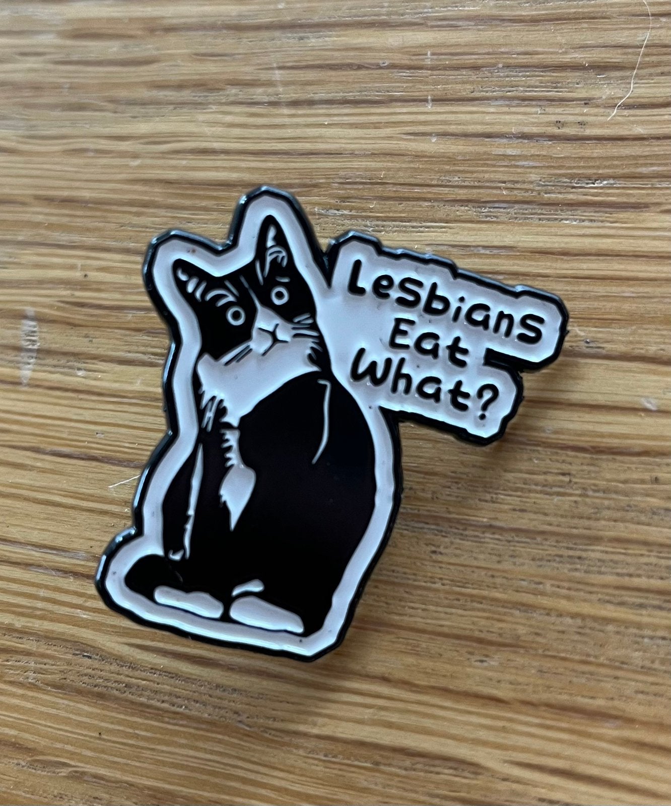 Grappige kat speldje pin gay lesbian lesbisch pride, Verzamelen, Verzenden, Zo goed als nieuw, Overige onderwerpen