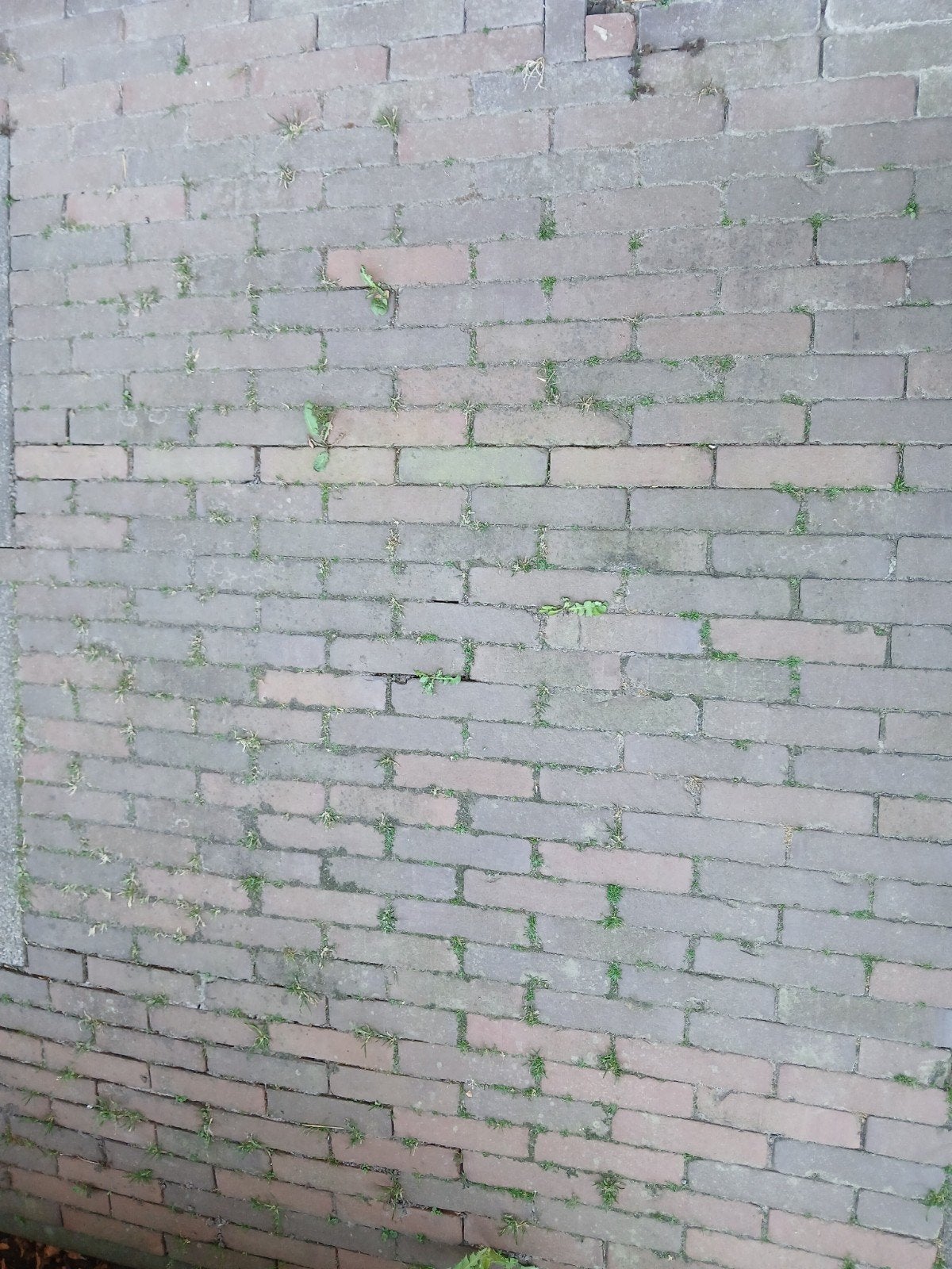 7m2 waaltjes - Gebruikte klinkers voor tuin of terras, Ophalen, Gebruikt, Klinkers, 5 tot 10 m²