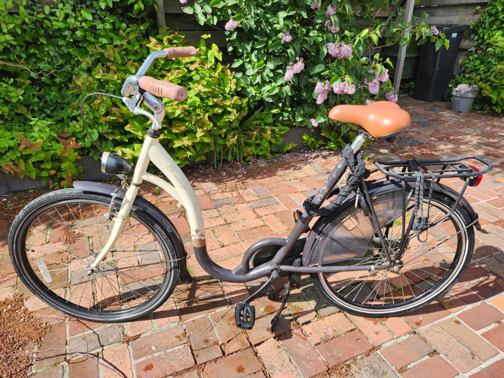 Stijlvolle damesfiets met lage instap, Fietsen en Brommers, Fietsen | Dames | Damesfietsen, Velgrem, 50 tot 53 cm, Ophalen, Overige merken