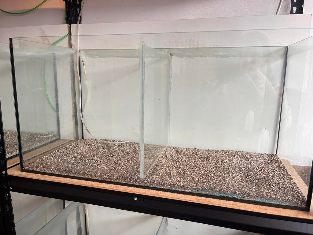 80x35x40 aquarium met tussenwand, Ophalen, Leeg aquarium