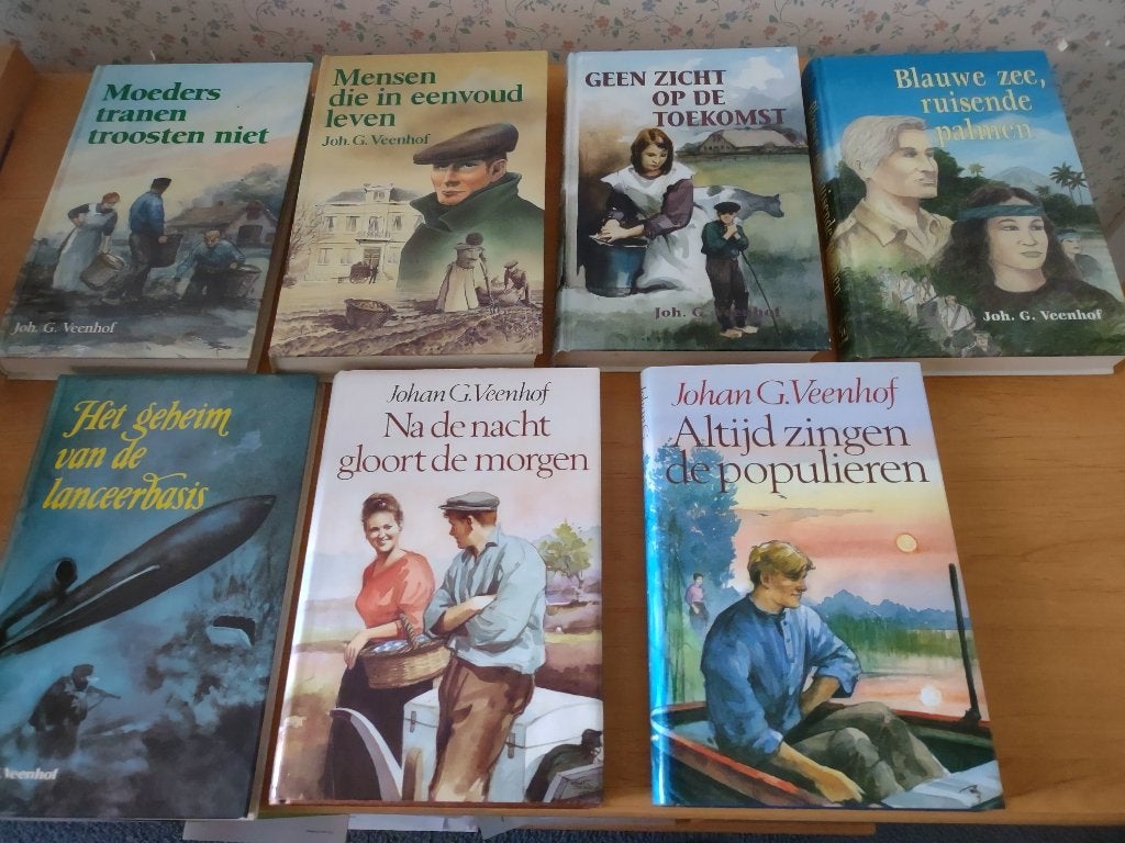 Diverse boeken- Joh G Veenhof, Boeken, Ophalen of Verzenden, Gelezen