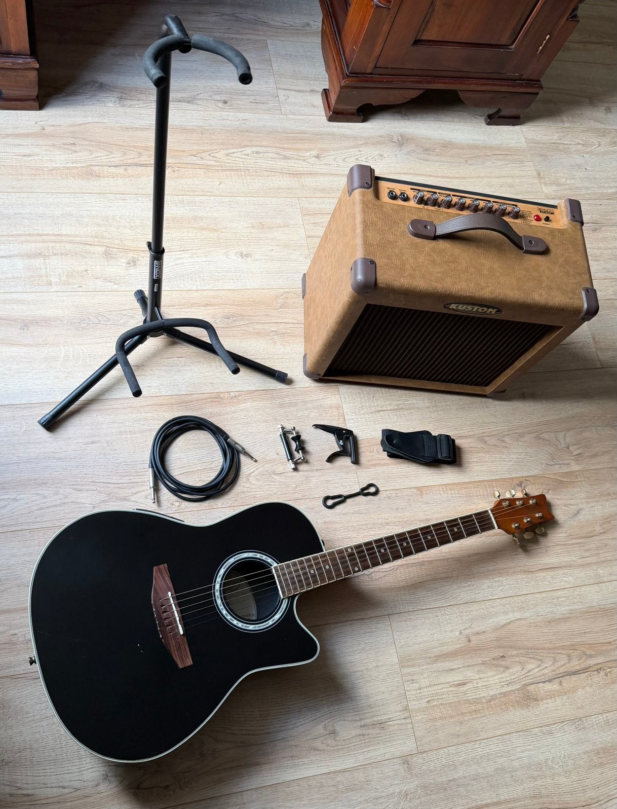 Hudson elektrische / akoestische roundback gitaar + speaker!