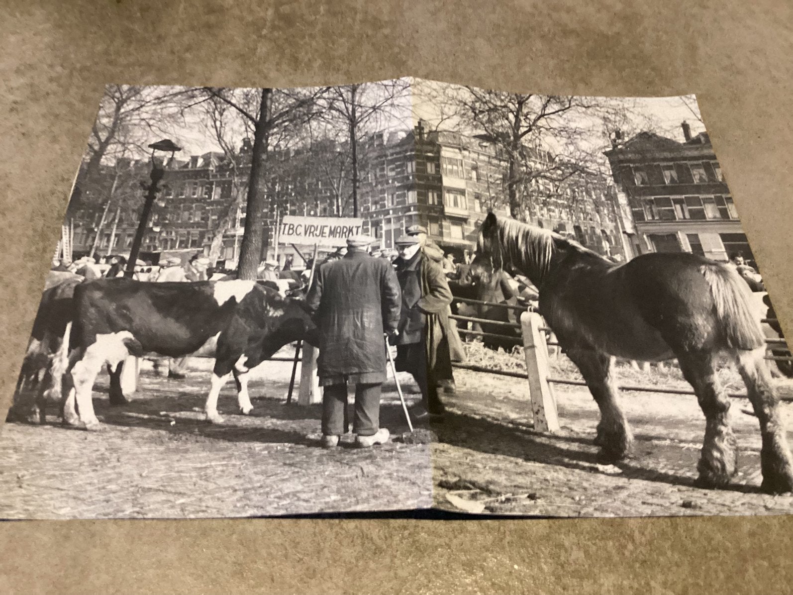 Rotterdam.      Veemarkt.    TBC Vrije markt.    Knipsel, Verzamelen, Ophalen of Verzenden, Zuid-Holland