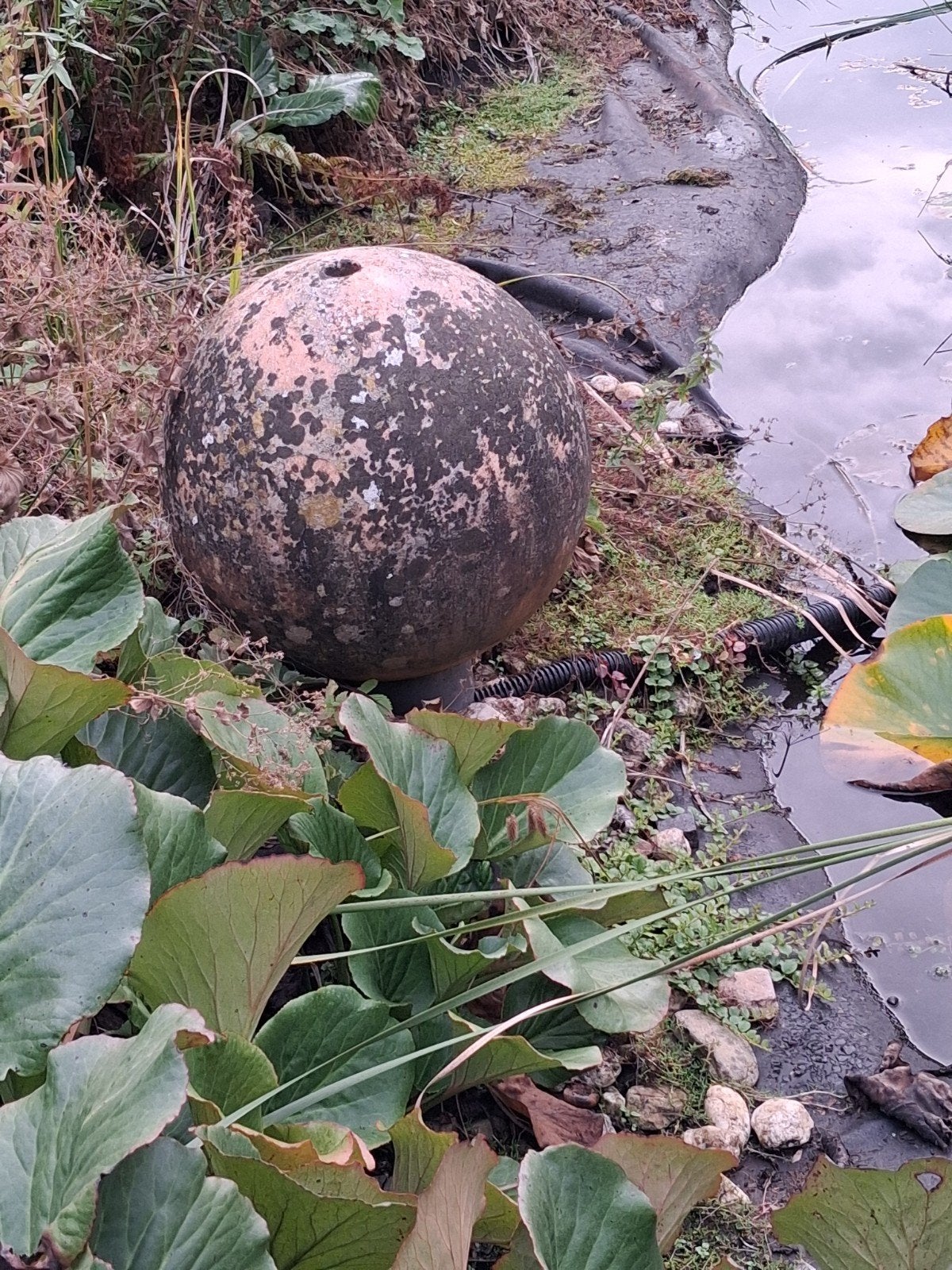 grote borrel bal voor in vijver , 45 cm, Ophalen, Gebruikt