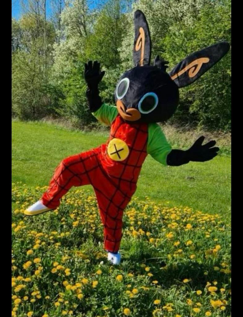Bing mascotte pak te huur, Ophalen, Gebruikt, Kostuum, Film of Tv