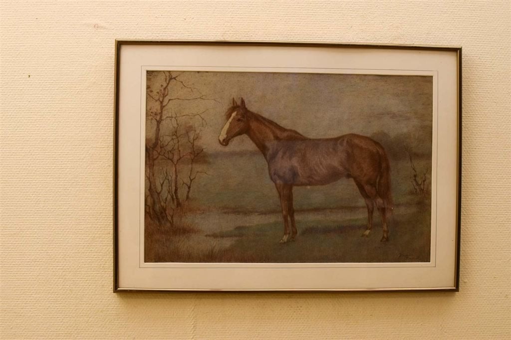 Prent/tekening van een paard 47763