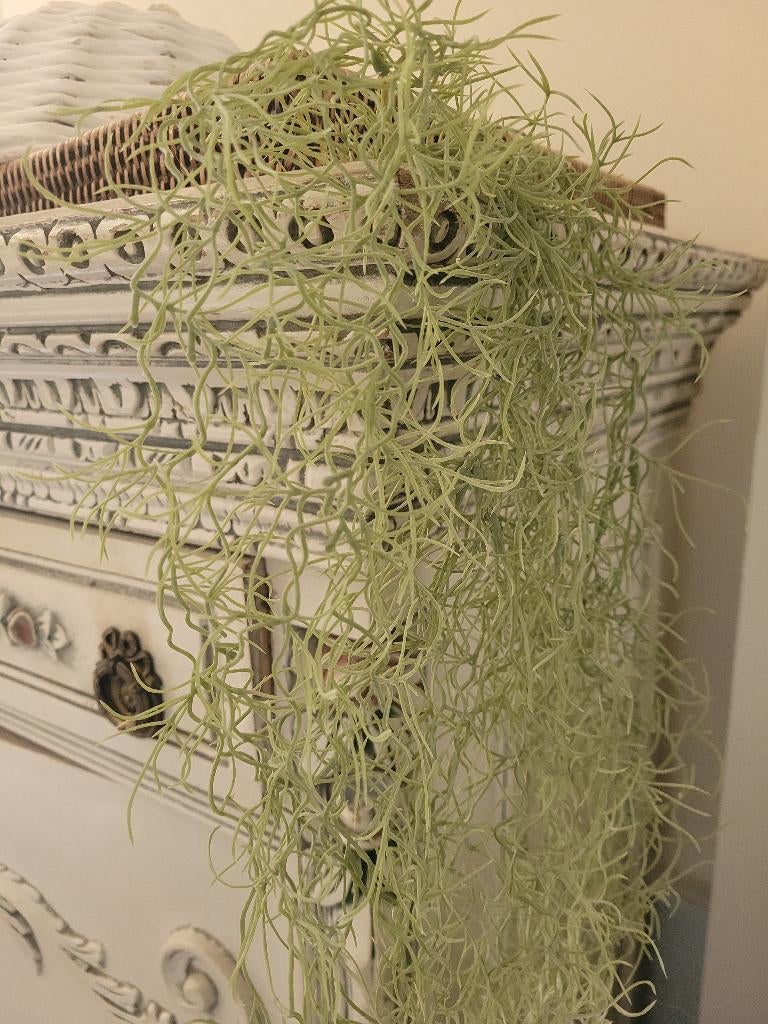 Nieuwe kunstplant Spaans mos foto 1 en 2, Groen, Kunstplant, 90 cm, Belle Vieille Brocante