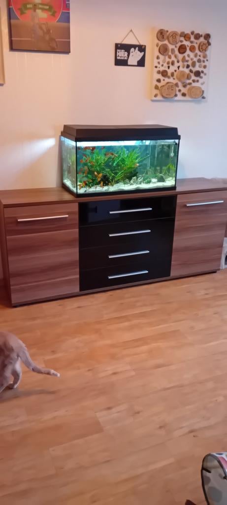 Aquarium te koop met onderkast, Dieren en Toebehoren, Vissen | Aquaria en Toebehoren, Ophalen of Verzenden, Leeg aquarium